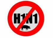 H1N1               