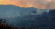 Лес в Ленингорском районе республики горел два дня, пожарные машины не могли добраться до места возгорания - спасатели были вынуждены тушить пожар вручную