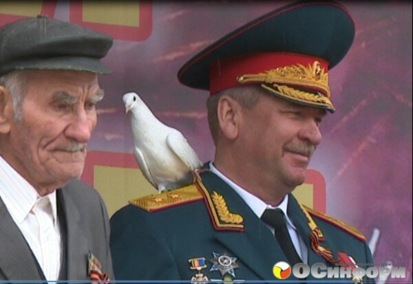 Голубь мира на плече Министра обороны Южной Осетии (9мая 2015г)