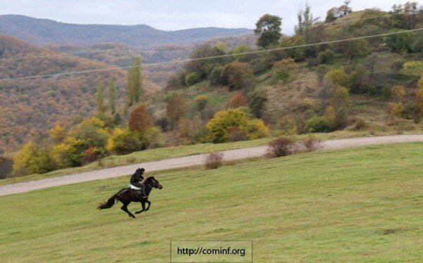 Конные скачки в Джерском ущелье. Возрождение национальных традиций