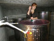В Южной Осетии начали создавать винодельческие предприятия