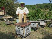 Югоосетинские пчеловоды увеличили объемы своей продукции