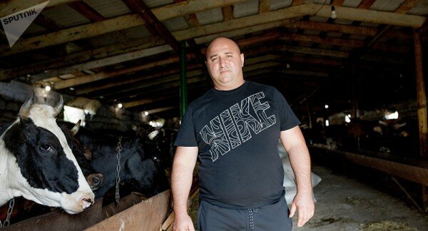 Бизнес на продажу: "пернатый" продукт и производство молочки в Южной Осетии