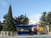 В столице Южной Осетии объявлен конкурс на лучшую дворовую елку