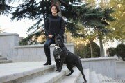 В столице Южной Осетии открывается первый ветеринарный кабинет