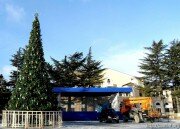 Главную елку республики устанавливают в столице Южной Осетии