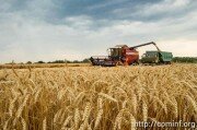 Успеют в сроки: уборка зерновых культур в Южной Осетии идет активно