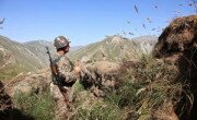 В Армении создаётся ополчение: граждан добровольно поставят под ружьё