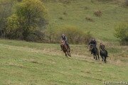 В Знаурском районе Южной Осетии пройдут конные скачки