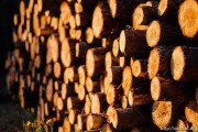 Районы Южной Осетии полностью обеспечат дровами до конца месяца