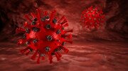 Доказано: иммунитет к коронавирусу сохраняется даже после исчезновения антител